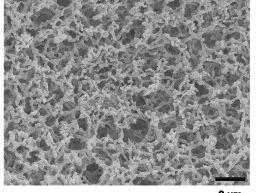 Nitrocellulose Typical specifications: Mean pore size = 0.2 µm Thickness = 0.1 0.