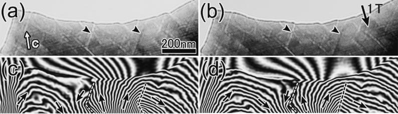 7 Lorentz microscope images (upper parts) and reconstructed phase images (lower parts) observed in the demagnetized [(a) and (c)] and remanent [(b) and (d)] states of specimen 4 (step-aged).