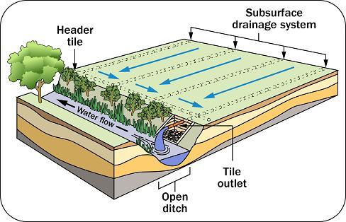 Artificial drainage has modified hydrology Ditching Placed 2-4 feet below surface Lowered water tables More efficient transport of water Tile