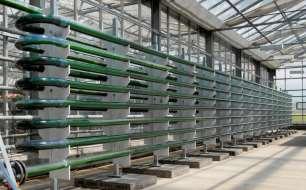 Microalgae - challenges New technology and not yet for feed 5000 tons per