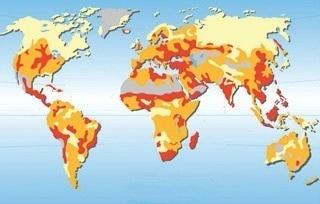 Land & Soil degradation are under-recognized threats to global well-being Map of Global Soil Degradation GLASOD 1991 Very degraded soil Degraded