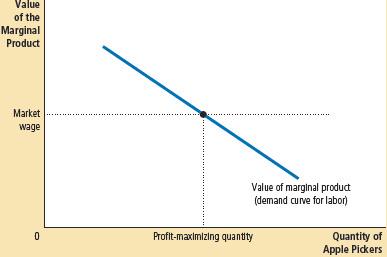 Demand Curve for a