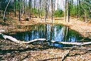 Low Permeability Bedrock Layer or Pan Seasonal Wetlands versus Vernal