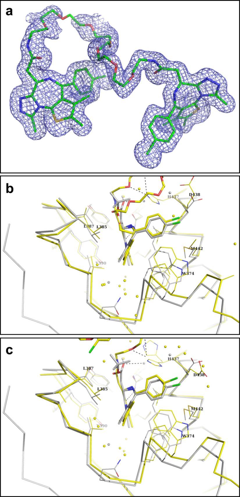 Supplementary Figure 10 Cocrystal structures of MT1 with BRD4(2). (a) An unbiased 2Fo - Fc electron density map around MT1 after the ligand was modeled with sigma level of 0.8.