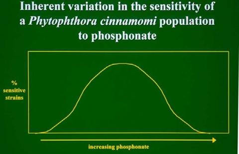 Phosphonate