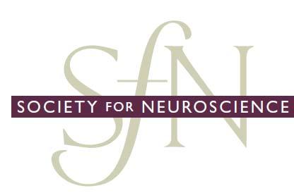 FENS JNS SfN Joint Animals Statement Our Stance The Federation of European Neuroscience Societies (FENS), the Japan Neuroscience Society (JNS) and the Society for Neuroscience (SfN) strongly advocate