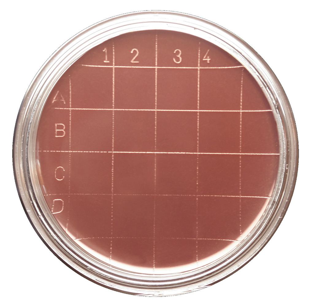 eady culture media in 55 mm contact plates Individually packed in transparent blister 15343 # Tryptic Soy gar + Penase + Cephalosporinase + eutralizing edium for microbial detection with inactivation