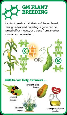 Ways to have Better Harvests GMOs are the