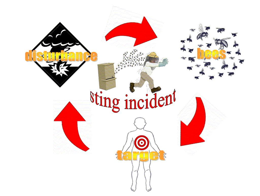 It is important for beekeepers to learn how to avoid major sting incidents by controlling the components of the "stinging triangle".
