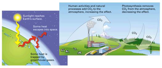 Figure 36-14 The greenhouse effect is a natural process that stops all of the sun's heat from escaping rapidly back to space.