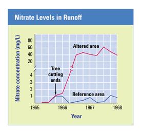 Figure 36-16 Deforestation in the altered area of Hubbard Brook Forest increased the concentration of nitrates in runoff for several years.