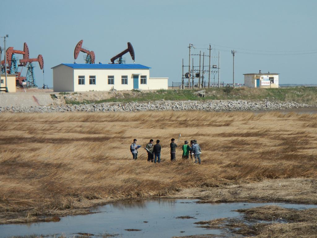 Results Leveraged Support for Environmental Improvements Dongying City has mobilized resources from the petroleum industry to enhance its capacity in environmental management of petroleum exploration