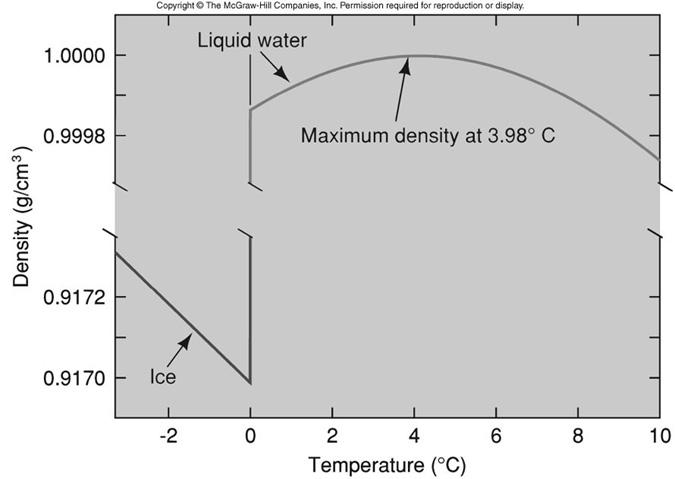 92 g/cc at 0ºC Phases of Water: Boiling point and freezing point are in normal range of temperature!