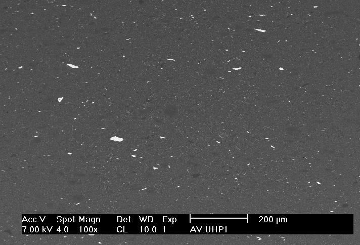 up to 40 µm, and were scattered throughout the material, as shown in the Figure
