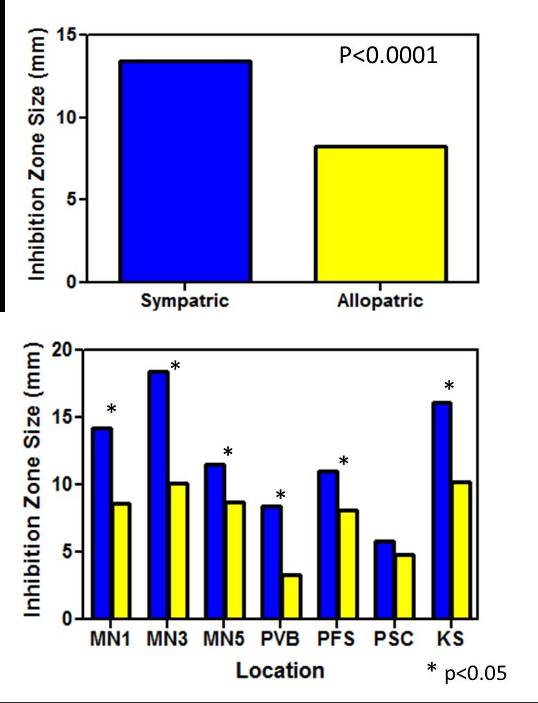 Inhibition is more intense among sympatric vs. allopatric Streptomyces.