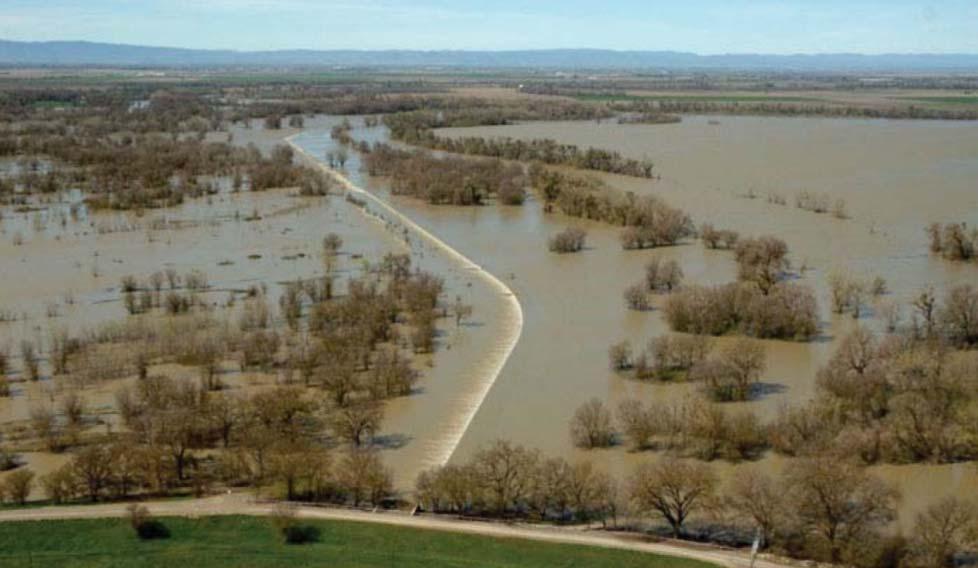 Riparian inundation Lower Colorado River, Cibola