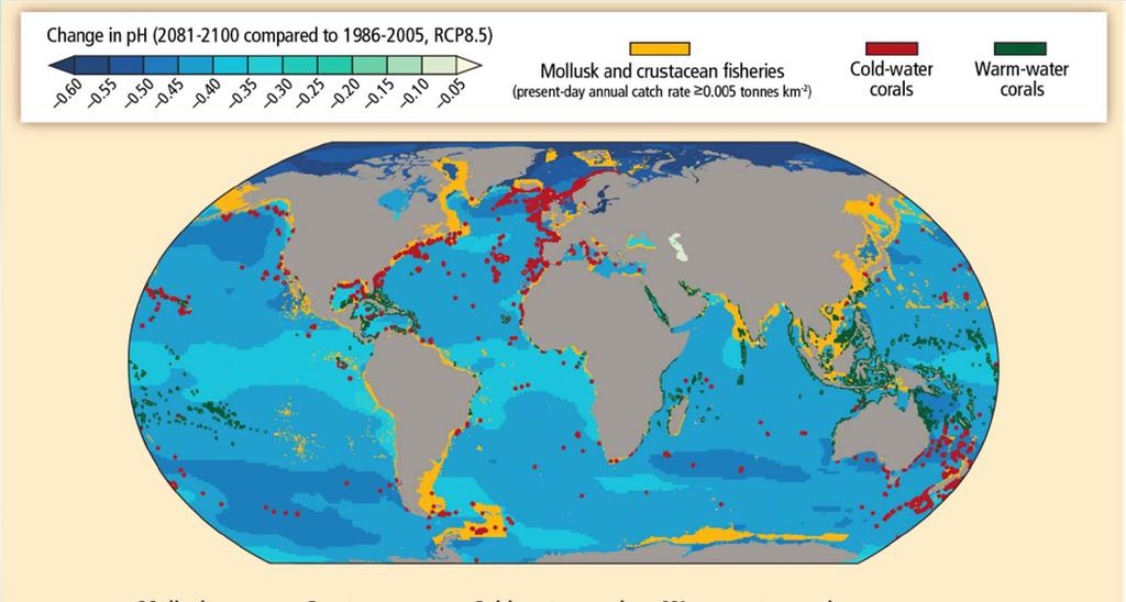 Projections: Ocean acidification, risks