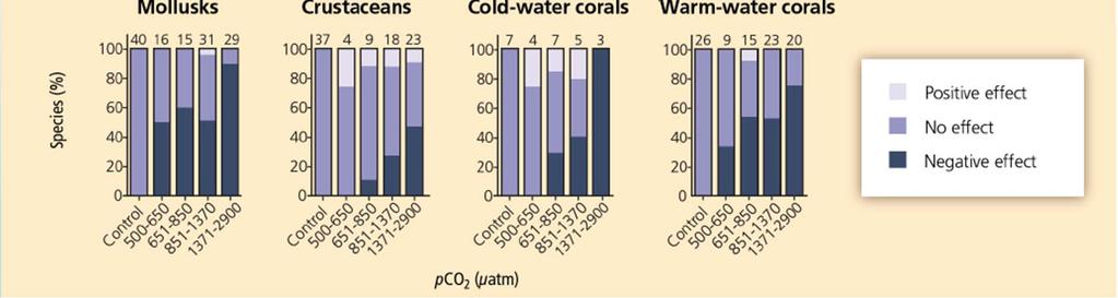 coastal protection by coral reefs.