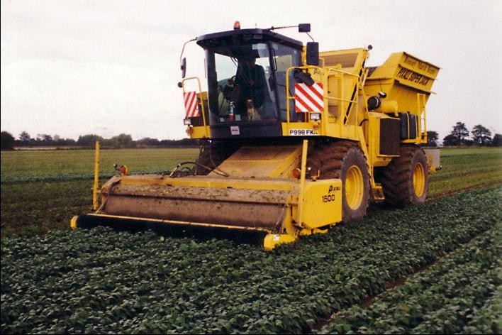 Mangnus & Van der Heijden Separating beans from waste in the field Combining bean harvesting machines with cleaning system