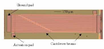 Adhesion Micro-instrument: Cantilever Beam Array Top View Side View anchor actuation pad beam landing pad ground-plane Si substrate l l l c min l d = detachment length P(l i )=sticking probability