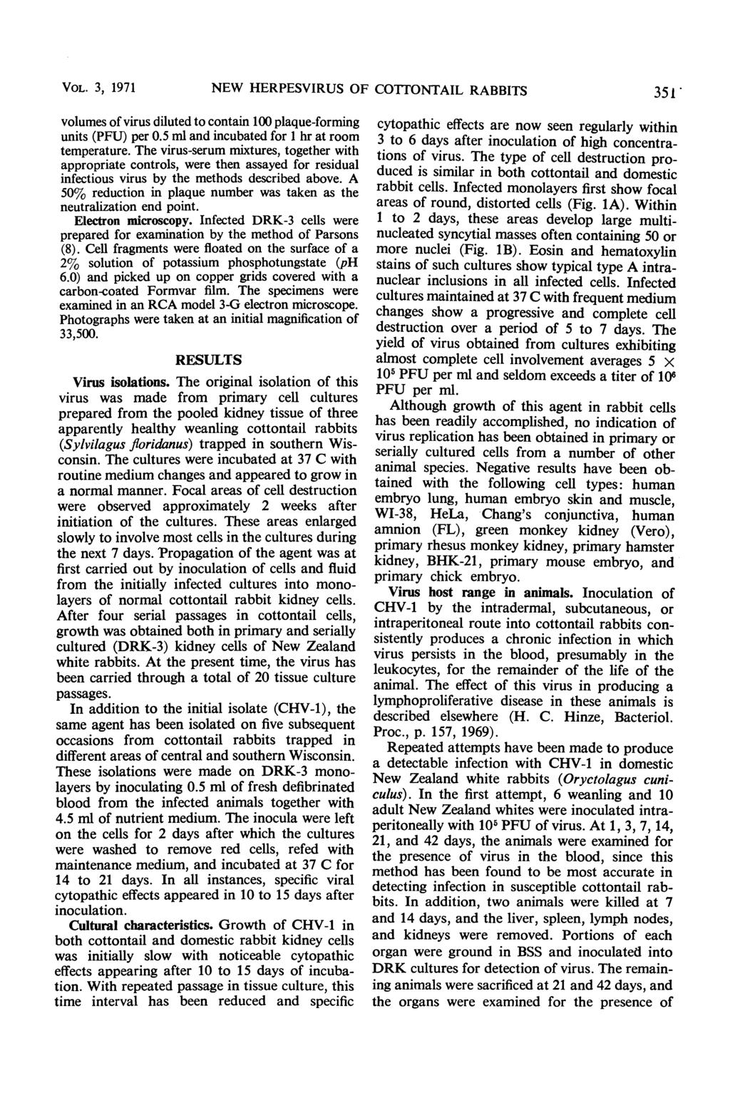 VOL. 3, 1971 NEW HERPESVIRUS OF COITONTAIL RABBITS 351' volumes of virus diluted to contain 100 plaque-forming units (PFU) per 0.5 ml and incubated for 1 hr at room temperature.