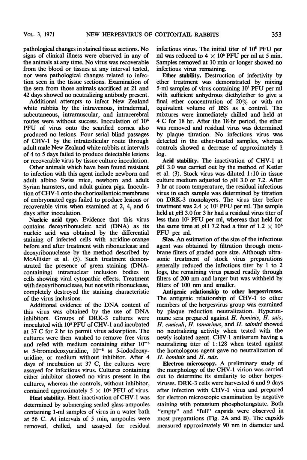 VOL. 3, 1971 NEW HERPESVIRUS OF CO1TONTAIL RABBITS 353 pathological changes in stained tissue sections. No signs of clinical illness were observed in any of the animals at any time.