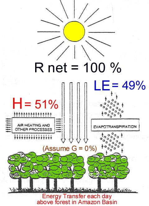 Will the % of net radiation in LE form be HIGHER or