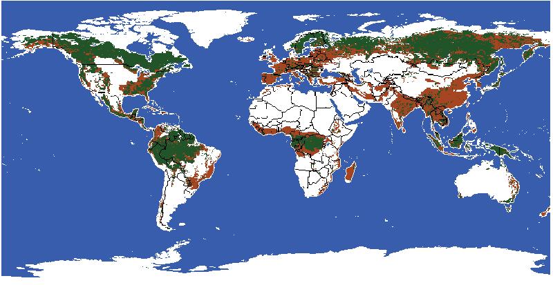 Estimated DEFORESTED areas (brown) vs.