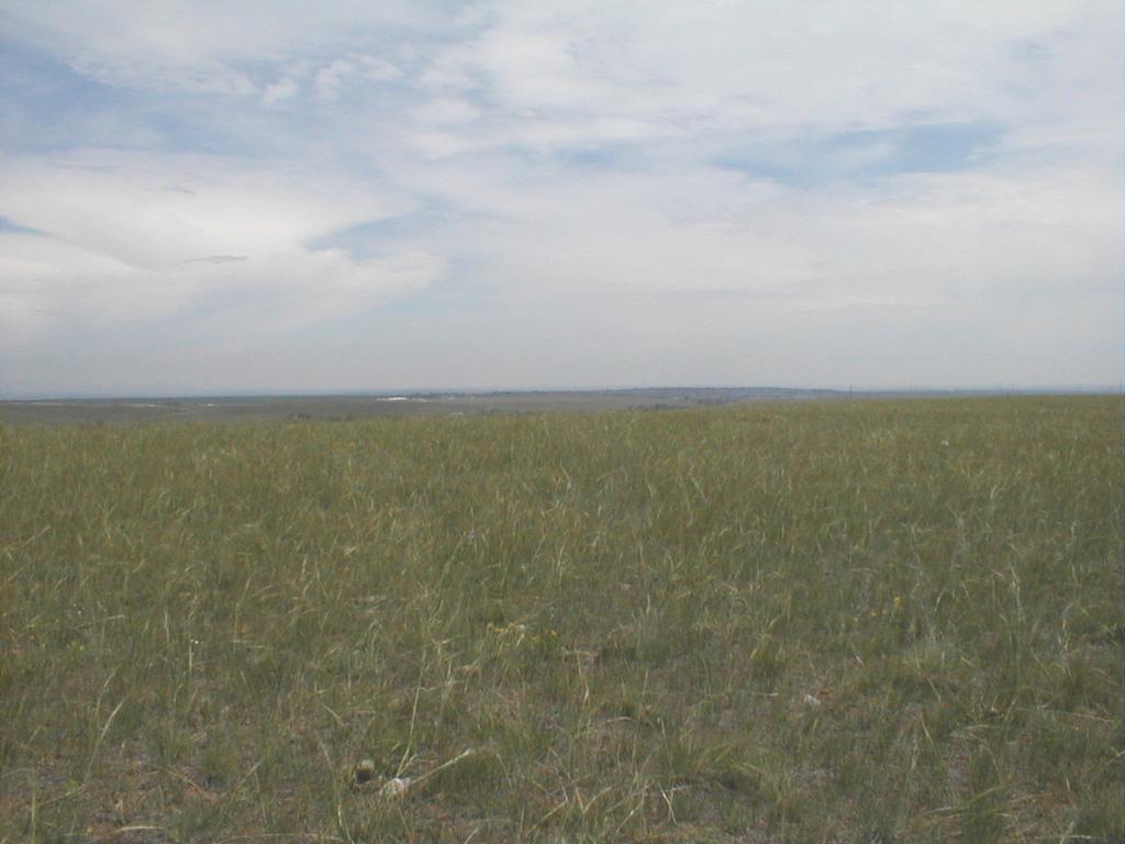 Mixed grass prairie