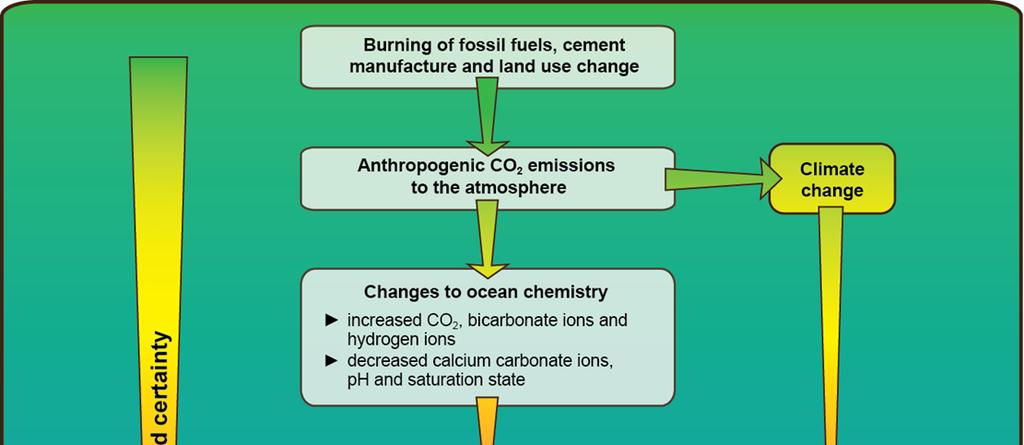 Ocean Acidification: how certain can we