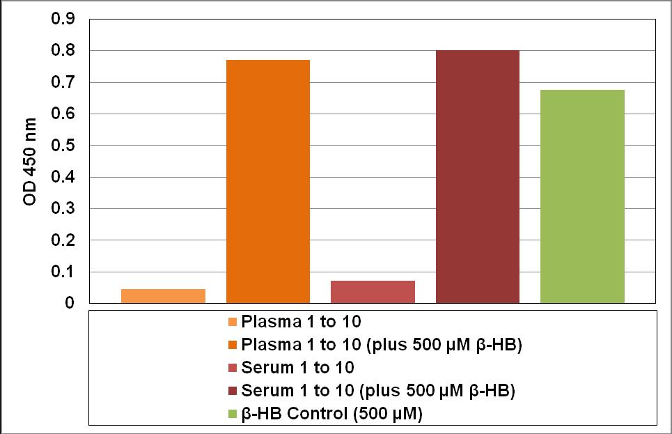 Figure 3: β-hydroxybutyrate Detection. Normal human plasma and serum were both diluted 1:10 in 1X Assay Buffer and tested with and without 500 µm β-hydroxybutyrate spiked into them.