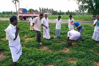 Participatory Farm Decision Making Engaged with local farmer groups to