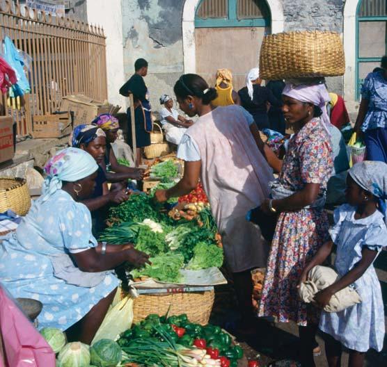 Why we should be interested in the informal food sector In all countries of the world, the poor demonstrate a strong ability to provide for their own needs and survive in difficult economic