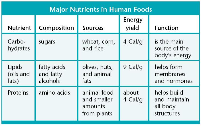 Humans and Nutrition Humans use food as a and as source of materials for. Energy in food is expressed in (Cal).