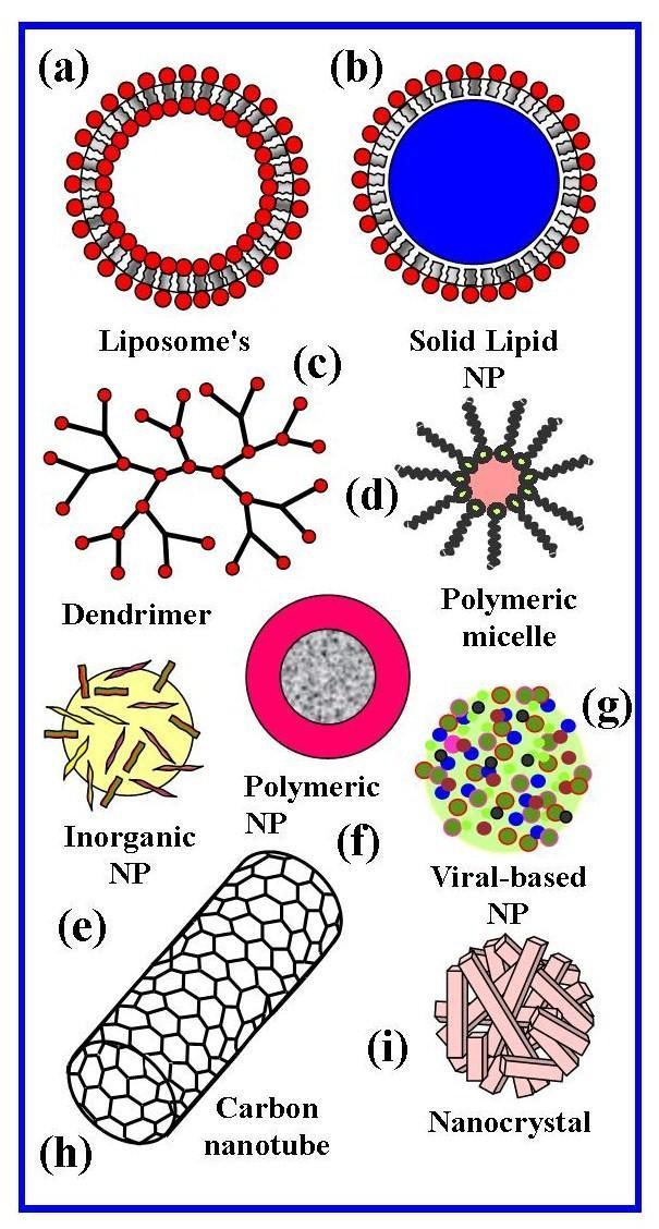 Open Journal of Biomedical Materials Research (2015) 11-26 13 (liposome s), polymers (polymeric NPs, dendrimers, micelles), nanometre scale crystals, viruses and carbon based NPs.