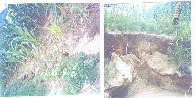 Though, the damages caused by this singular phenomenon cannot be easily quantified, but properties worth hundreds of thousands of naira have been destroyed, animals and human lives has been lost to