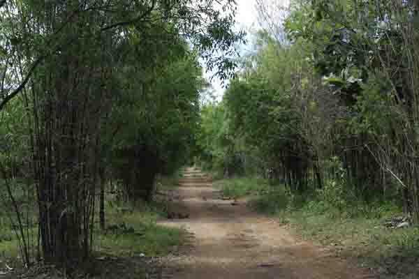 Chapter 1: Forest and Biodiversity The tract borders on Kolar district in the northeast, on Mandya district in the southwest, on Chamrajnagar district in the south and on Salem district of Tamil Nadu