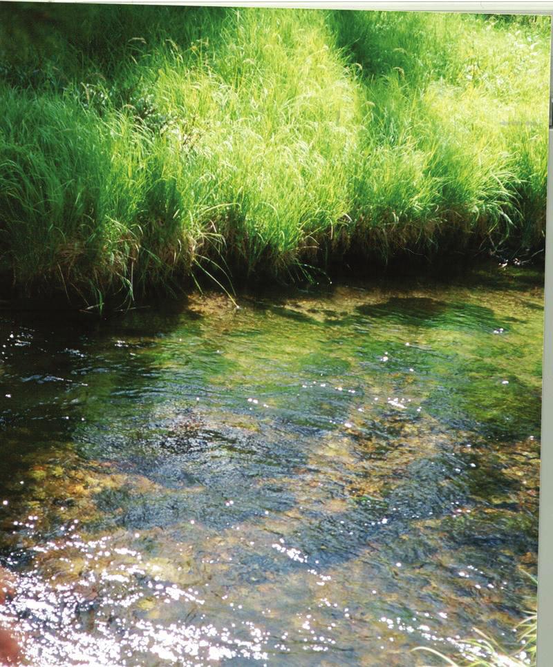 Protect natural resources Protecting natural water bodies helps ensure the continued availability of