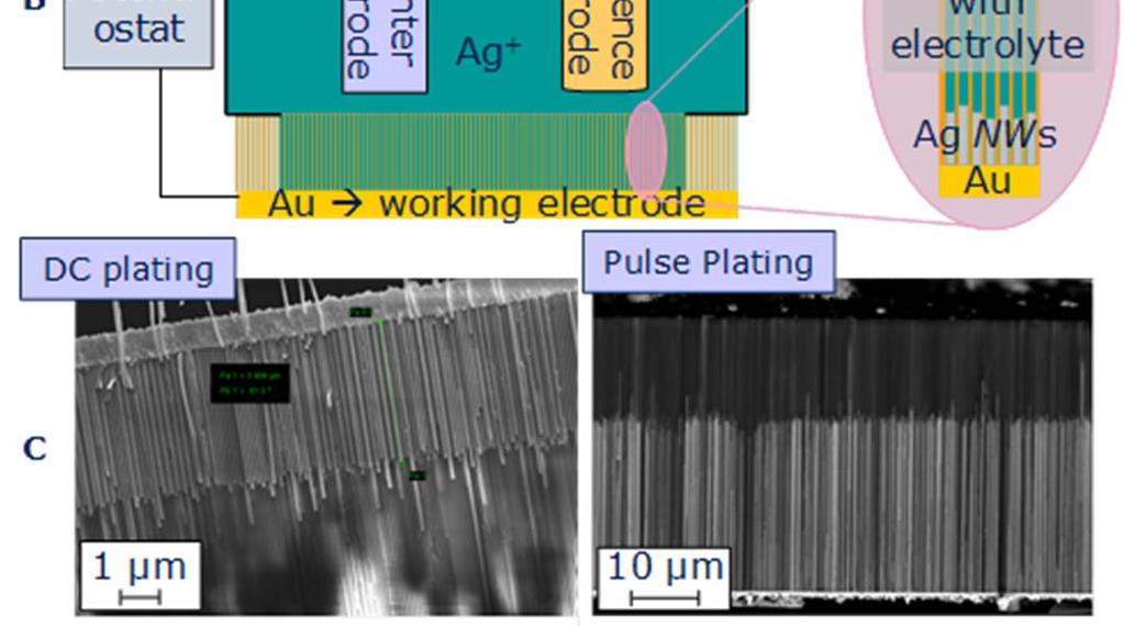 electrodeposition of NWs in AAO membranes c) SEM images of