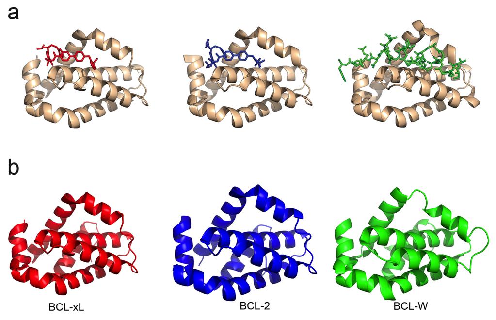 Supplementary Figure 6 Structures of BCL family proteins.