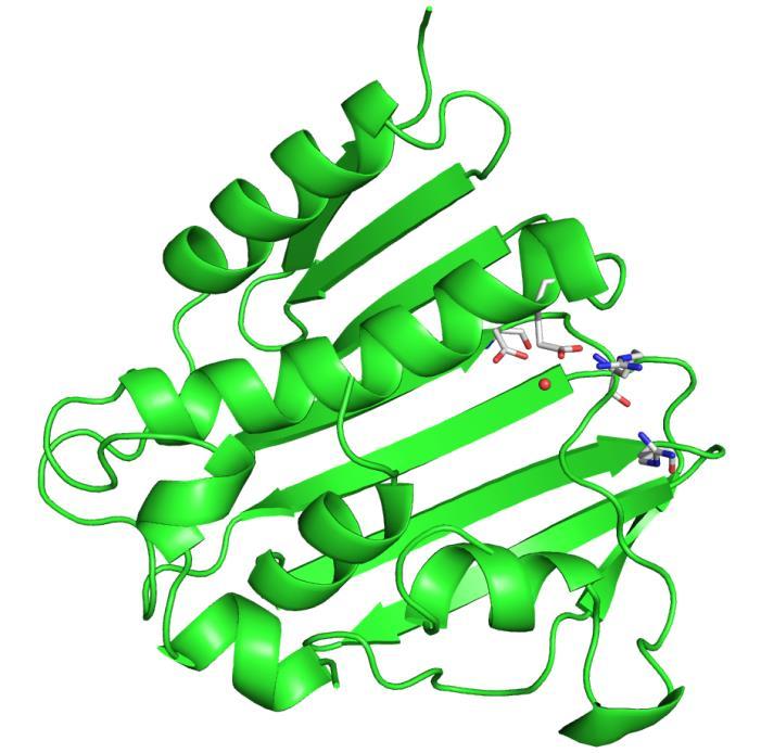 Discovery of novel GyrB inhibitors virtual screening library of oroidin analogues (>120 compounds) ATP-binding site of E.