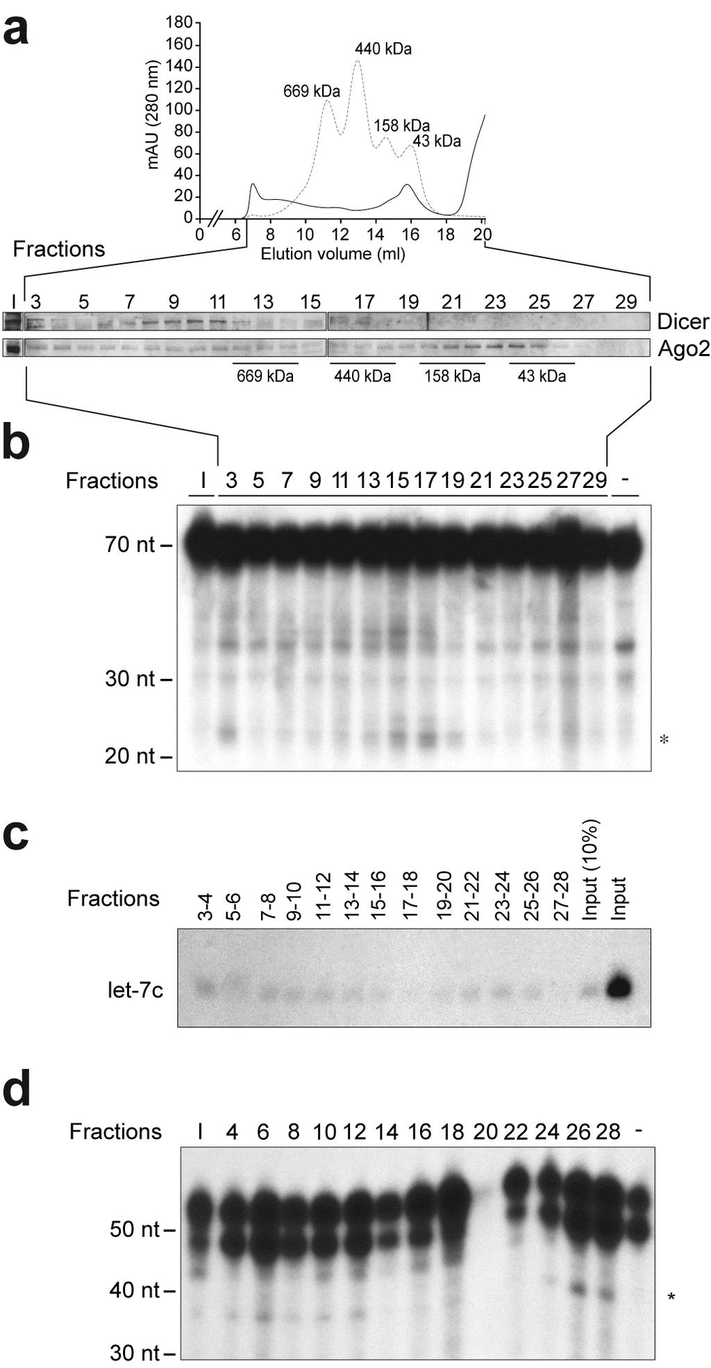 Supplementary Figure 8. Characterization of a Dicer complex active in mirna biosynthesis and of an Ago2-containing effector complex competent in RNA silencing in HeLa cells.