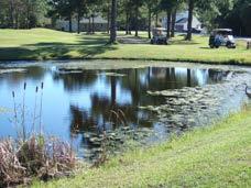 water quality Property damage from flooding Nutrients Most fertilizers