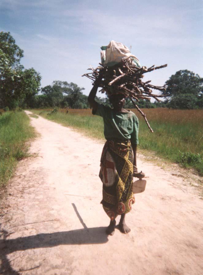 Fuelwood collection Women provide 90% of wood that is consumed by the household but only 70% of