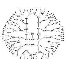 Dendrimers Dendrimers represent one of several non-viral systems used for delivering nucleic acids into cells. They are synthetic hyperbranched polymers which are highly soluble in aqueous solutions.