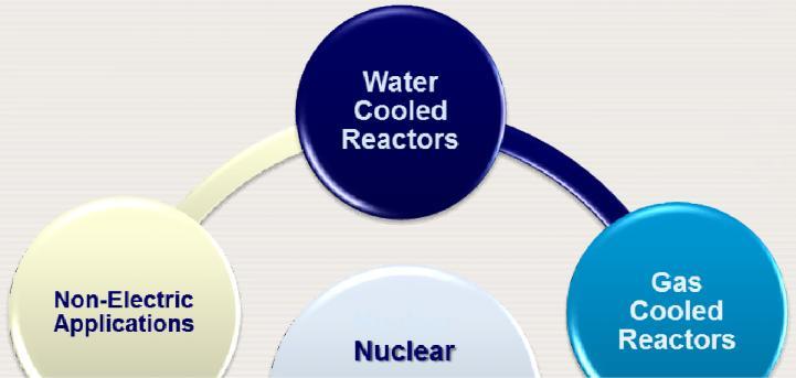 Nuclear Power Technology Development Reactor Technology