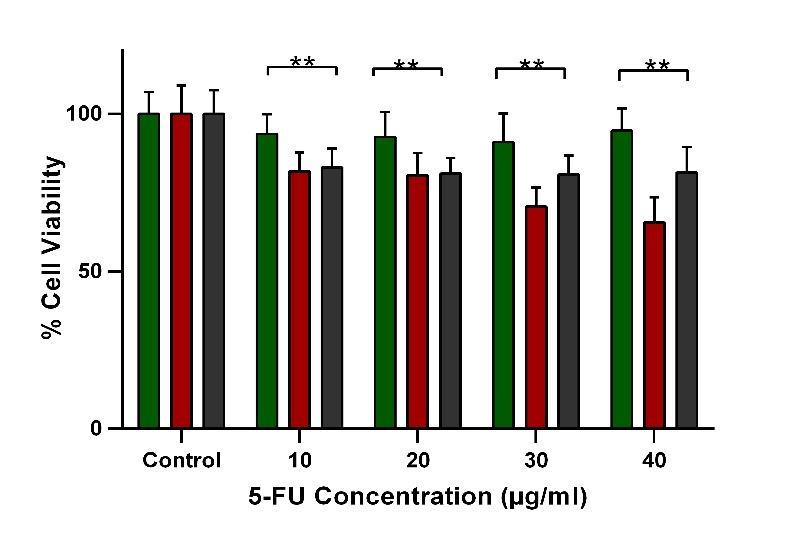 2.4 Evaluation of Cytotoxicity Our results as represented in Fig.4, show relative non-toxic effects of FA-CS-GNP on all the investigated cell lines.