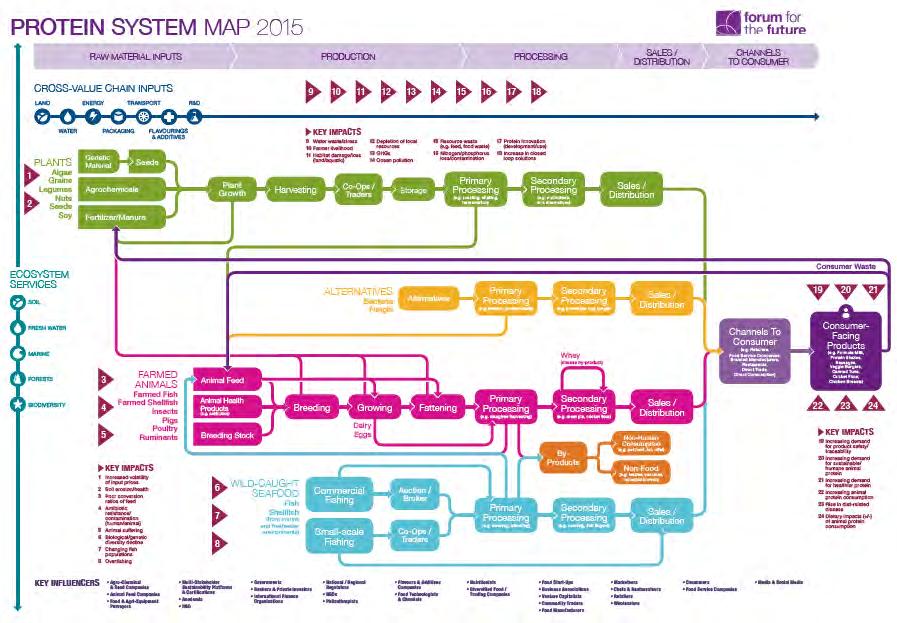 Add system map Tackling protein losses Restoring soil health Scaling up plant protein: developed world