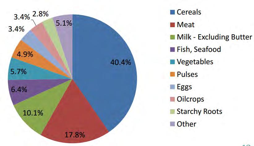 Current global protein supply