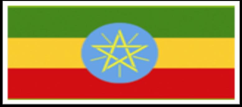 The Federal Democratic Republic Of Ethiopia National Human Rights Action Plan 2013-2015 June 2013 Addis Ababa The